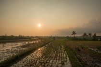 Sotis Villa Canggu Dalung  Ngoại thất bức ảnh